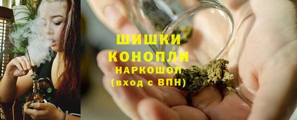 Альфа ПВП Пересвет