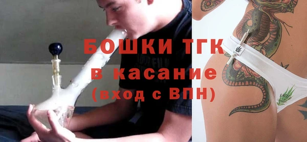 Альфа ПВП Пересвет