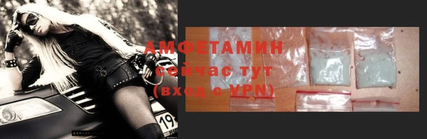 Альфа ПВП Пересвет