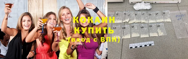 Альфа ПВП Пересвет