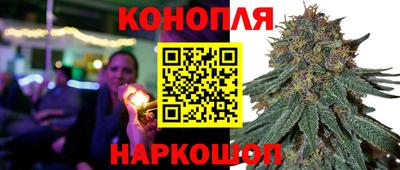 прущие грибы Апшеронск