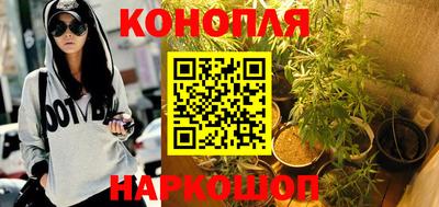 прущие грибы Апшеронск