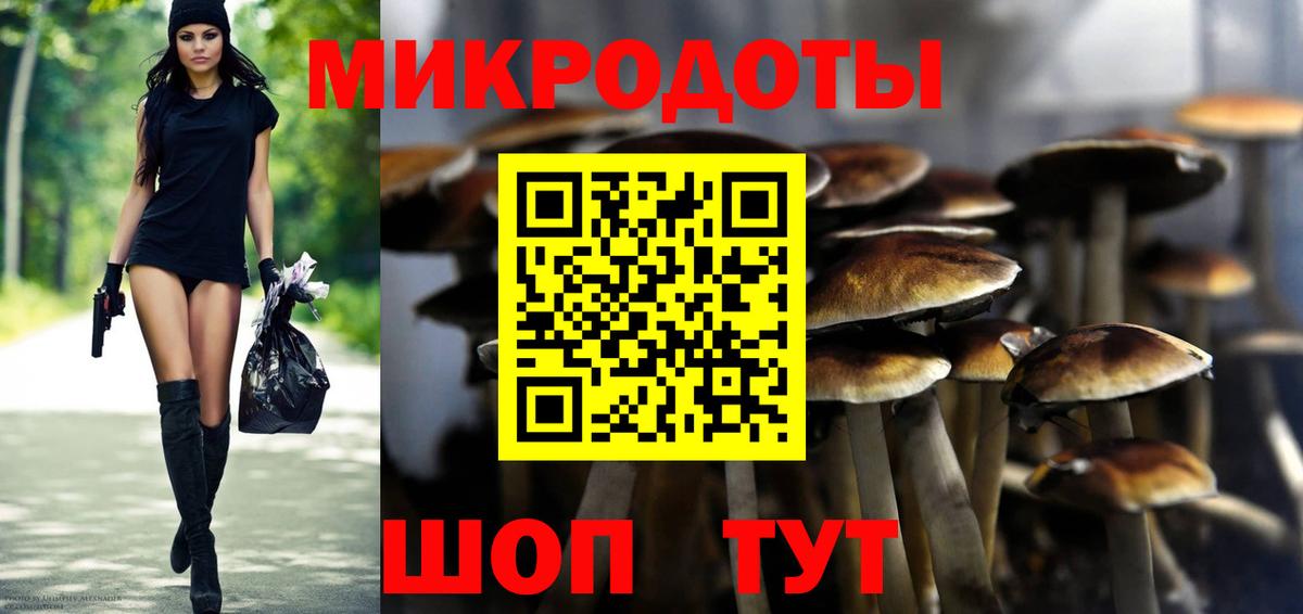 Псилоцибиновые грибы Psilocybe  Галлюциногенные грибы ЛСД  Белебей 